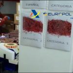 Desarticulada una organización criminal dedicada a la venta fraudulenta de azafrán en CLM