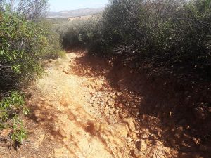 Proyecto ´Acondicionamiento y Mejora de Caminos 2021′ de Puertollano con una inversión de 126.000 euros