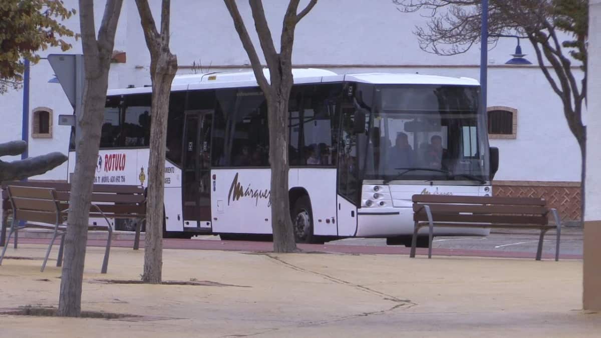El servicio de autobús urbano a Manzanares se reinicia el 9 de septiembre Noticias de
