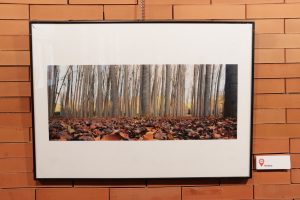 Fernado Labián expone en el Gran Teatro de Manzanares ‘Paisajes manchegos’ hasta el 7 de noviembre