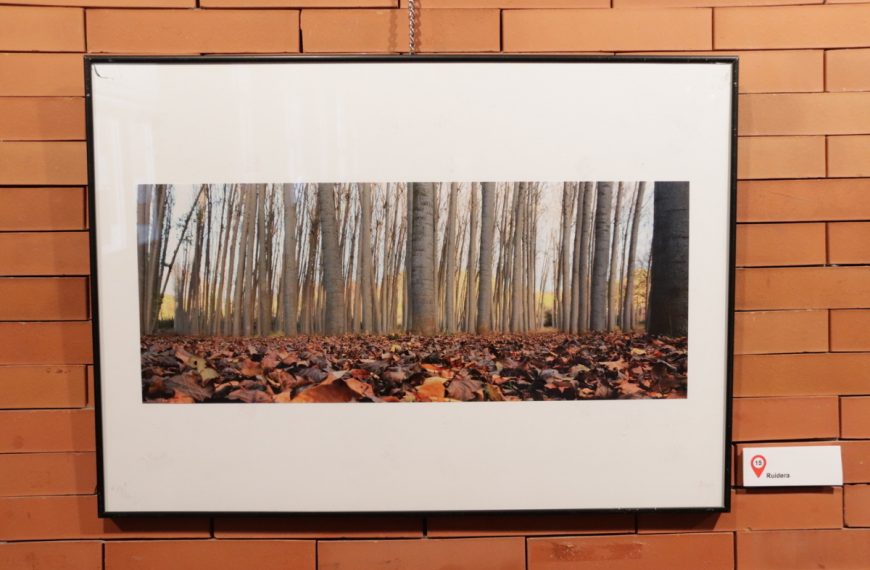 Fernado Labián expone en el Gran Teatro de Manzanares ‘Paisajes manchegos’ hasta el 7 de noviembre