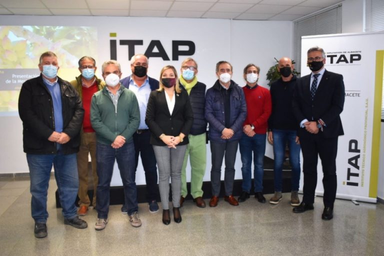 Creada la Mesa de Precios del Pistacho por el Instituto Técnico Agronómico Provincial (ITAP)  de la Diputación de Albacete