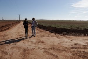 El camino de San Marcos en Manzanares ha recuperado su anchura original de seis metros más las cunetas