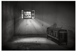 Ganadores del XV Premio “Manzanares” de Fotografía cuya premiación será el 18 de noviembre en el Gran Teatro