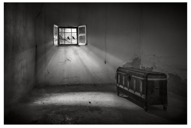 Ganadores del XV Premio “Manzanares” de Fotografía cuya premiación será el 18 de noviembre en el Gran Teatro Ganadores del XV Premio “Manzanares” de Fotografía cuya premiación será el 18 de noviembre en el Gran Teatro