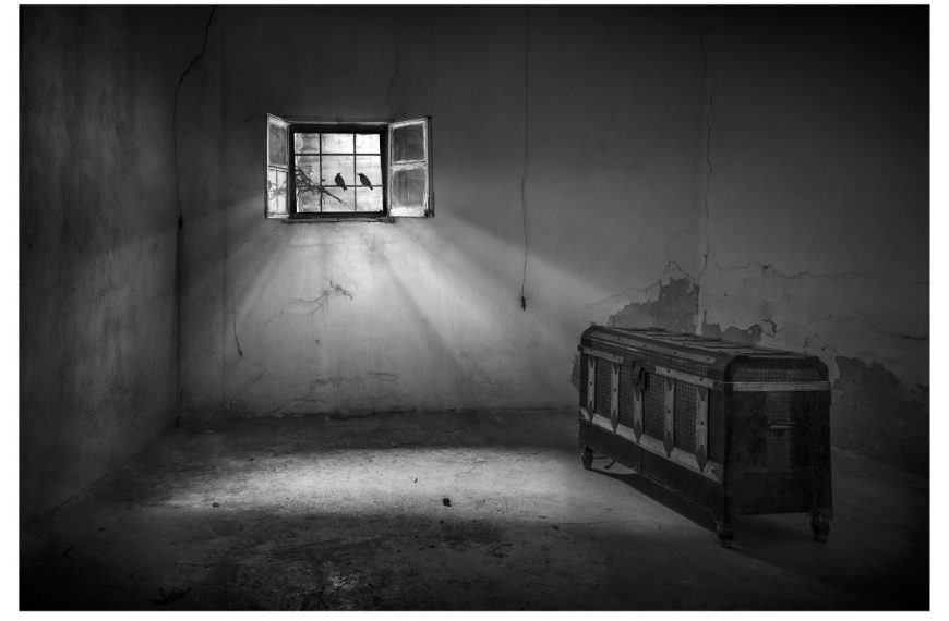 Ganadores del XV Premio “Manzanares” de Fotografía cuya premiación será el 18 de noviembre en el Gran Teatro