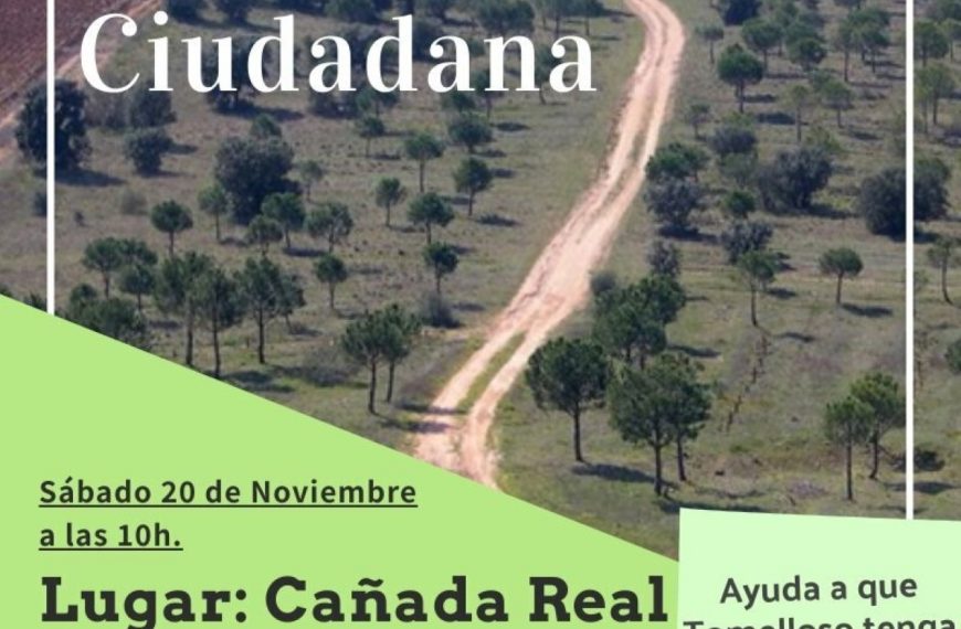 Jornada de Reforestación el 20 de noviembre en la Cañada Real Conquense-Vereda en el término municipal de Tomelloso