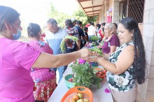 A través de la Imprenta Provincial, la Diputación de Ciudad Real colaborará con la ONG Manos Unidas