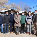 Subasta de sementales de raza ovina manchega realizada por AGRAMA el pasado viernes en Manzanares