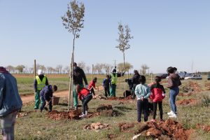 Escolares reforestaron la Vereda de Siles en Manzanares por el Día del Árbol 2022
