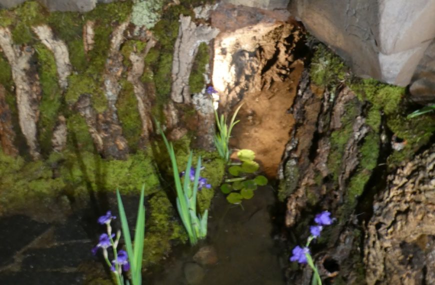 Las Cruces de Piedrabuena adornadas con el brezo que crece en sus montes y piedras de basalto que relatan su origen volcánico