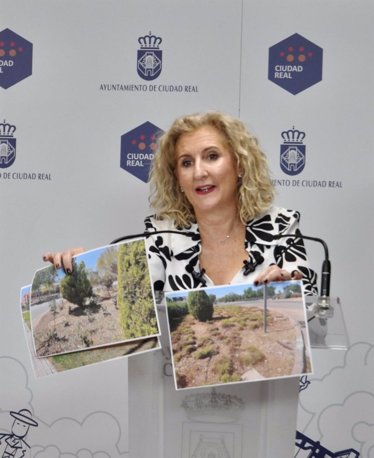 PP Ciudad Real propondrá en el pleno del Ayuntamiento que los ciudadanos puedan pagar por Bizum los tributos municipales