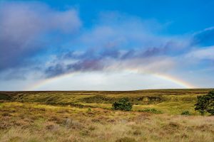 Comunidades de Regantes del Alto Guadiana solicitan una reunión urgente con el Gobierno de España ante la situación precaria de la Confederación Hidrográfica del Guadiana