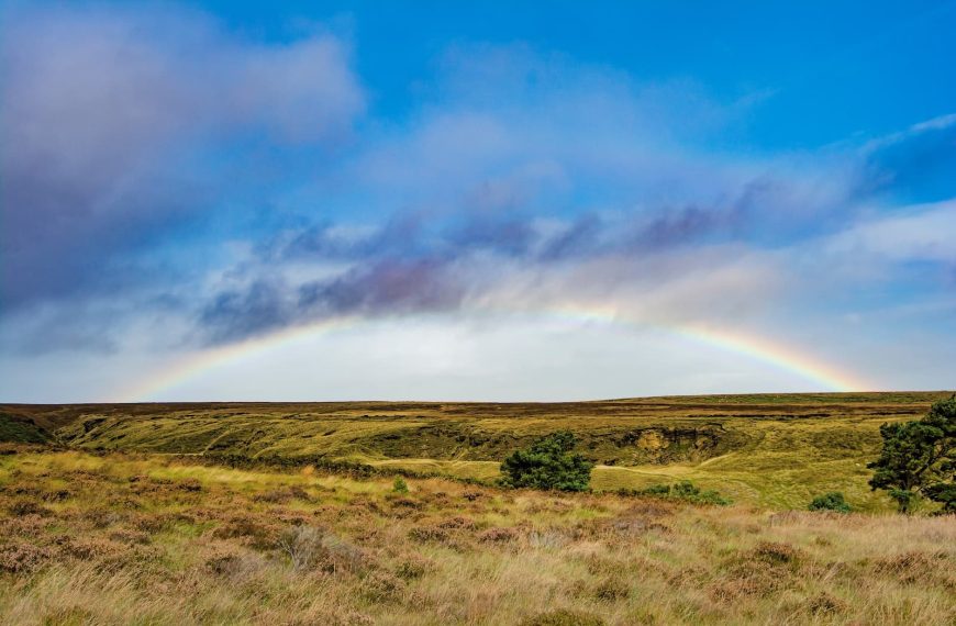 Comunidades de Regantes del Alto Guadiana solicitan una reunión urgente con el Gobierno de España ante la situación precaria de la Confederación Hidrográfica del Guadiana