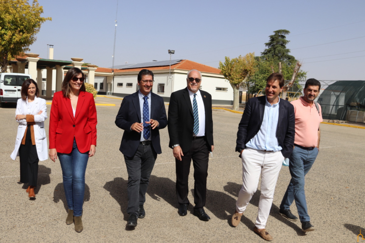 Sustituidas 1.500 luminarias en zonas importantes de Manzanares que trabaja así por un alumbrado público más eficiente y energías limpias