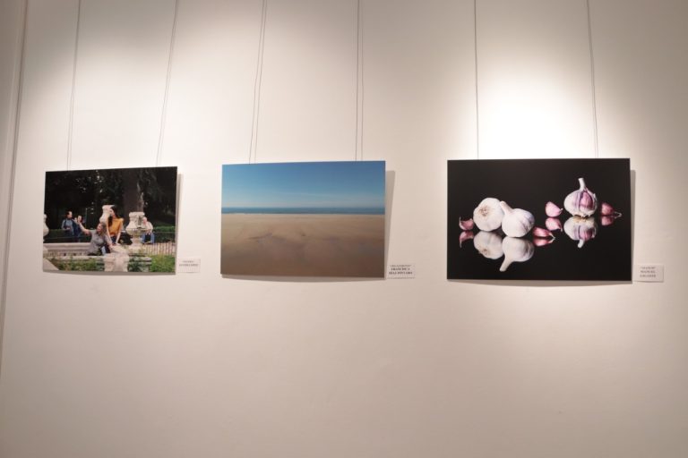 3ª exposición de socios de la  Asociación Fotográfica ‘Manzanares’ en la Casa Malpica abierta hasta el 15 de enero