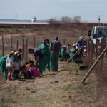 Los colegios de Manzanares celebran el Día del Árbol 2023 con una actividad organizada por el ayuntamiento en la Vereda de Siles