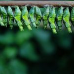 Adjudicadas las obras del nuevo centro de salud Manzanares II por el SESCAM