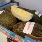 Una cata de melón piel de sapo dirigida por el presidente de la Lonja Hortofrutícola se celebró en Fercam 2023 en Manzanares