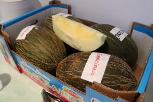 Una cata de melón piel de sapo dirigida por el presidente de la Lonja Hortofrutícola se celebró en Fercam 2023 en Manzanares