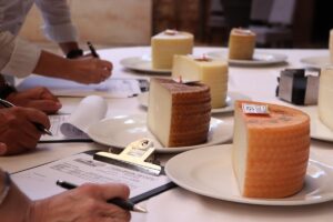 Presentadas 38 muestras de 20 empresas queseras al 33º Concurso Regional de Calidad de Quesos Manchegos en Manzanares