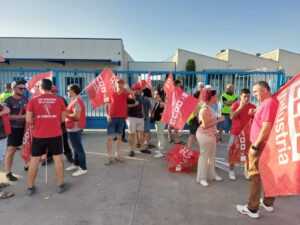 CCOO respalda totalmente las huelgas y movilizaciones de Brahm-Manzanares