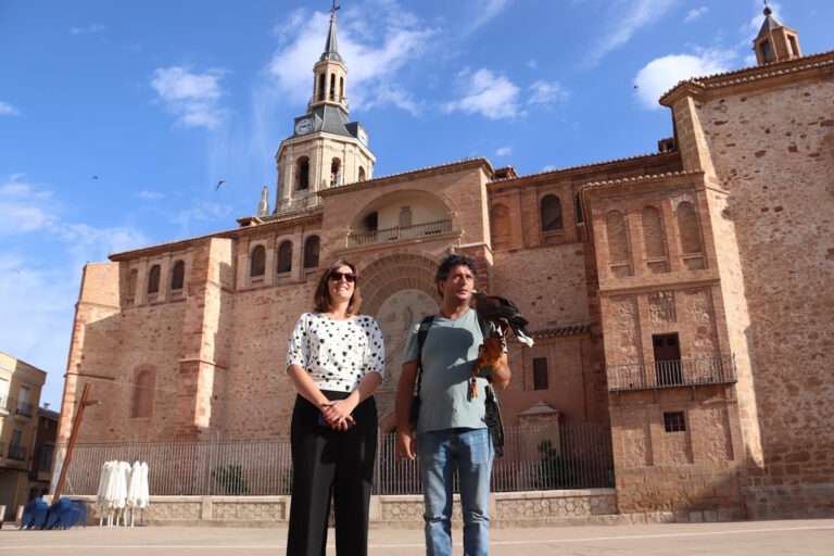 Con un águila de Harris inició hoy una experiencia piloto para controlar en Manzanares la plaga de palomas Con un águila de Harris inició hoy una experiencia piloto para controlar en Manzanares la plaga de palomas