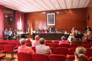Pleno ordinario aprobó la no constitución del grupo municipal Vox en el Ayuntamiento de Manzanares