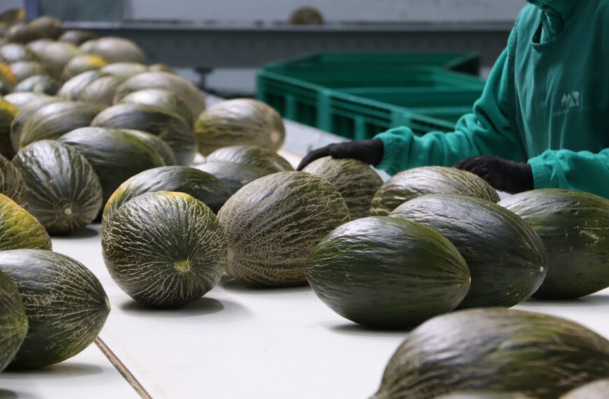 Alcalde de Manzanares visitó Mercomancha “que es un referente” por su modelo empresarial y la calidad de sus productos