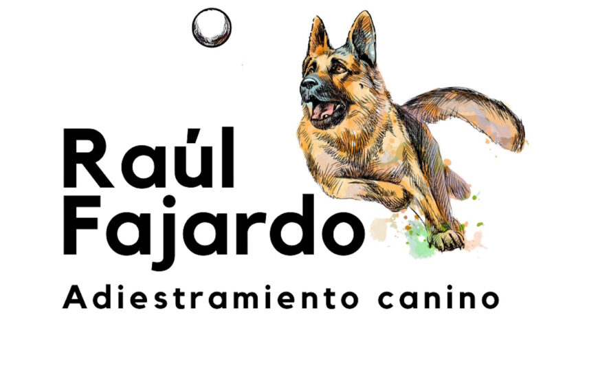 Curso de adiestramiento canino del Centro Joven de Albacete del 21 de octubre al 25 de noviembre sábados de 11 a 13 h