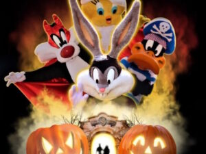 https://diariodelamancha.com/viaje-a-la-warner-especial-de-halloween-del-centro-joven-de-albacete-el-21-de-octubre/