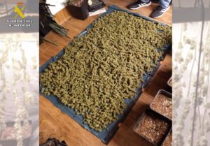 Desarticulada una red en Ciudad Real por fabricación ilícita de drogas a partir de ansiolíticos falsificados con destino a Marruecos