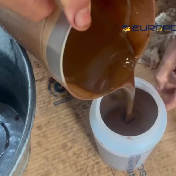 Operación Transnacional Contra el Fraude: Once Individuos Arrestados por Comercio de Aceite de Oliva Falsificado en España e Italia