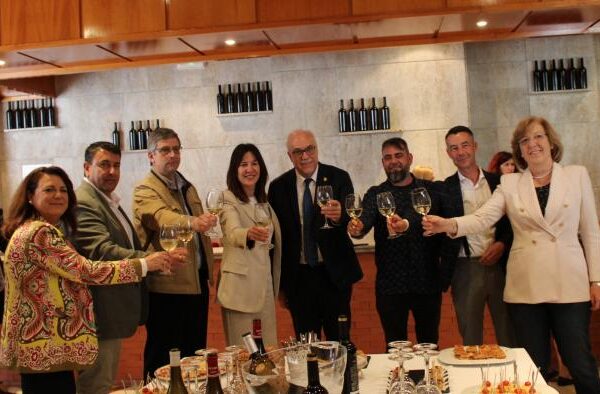 20 millones de inversión gracias a las ayudas VINATI en Ciudad Real