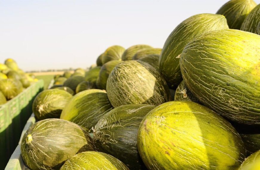 Mercadona Incrementa Sus Compras a Proveedores de Castilla-La Mancha en un 19%, Superando los 2.480 Millones de Euros en 2023