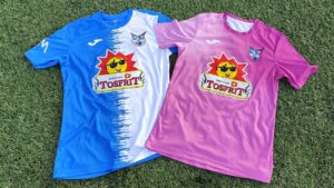 Incorporación del Club Deportivo Femenino TOSFRIT Manzanares al Consejo Local de la Mujer: Detalles de la Sesión de Marzo