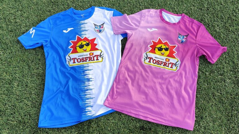 Incorporación del Club Deportivo Femenino TOSFRIT Manzanares al Consejo Local de la Mujer: Detalles de la Sesión de Marzo