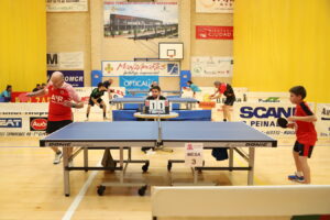 El Tenis de Mesa Manzanares cierra su destacada temporada sin lograr el ascenso en el Pabellón ‘Antonio Caba’