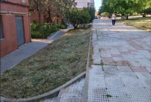 Progresan Eficientemente los Trabajos de Limpieza Urbana y Periférica en la Ciudad