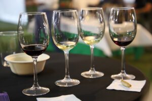 Descubriendo los placeres del vino: Catas al aire libre en Fercam