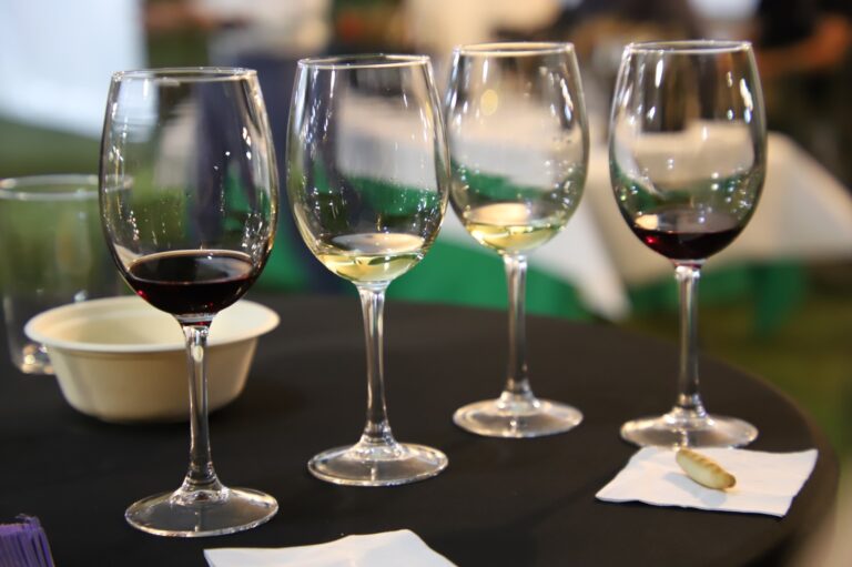 Descubriendo los placeres del vino: Catas al aire libre en Fercam