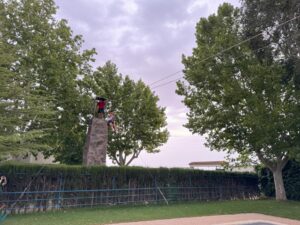 Manzanares acogerá el 2 de septiembre la jornada ‘Jóvenes con Raíz’