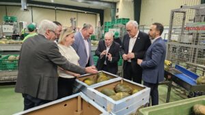 Mercomancha es Enaltecida como Referente Agroalimentario y Generador de Empleo por la Junta y el Ayuntamiento