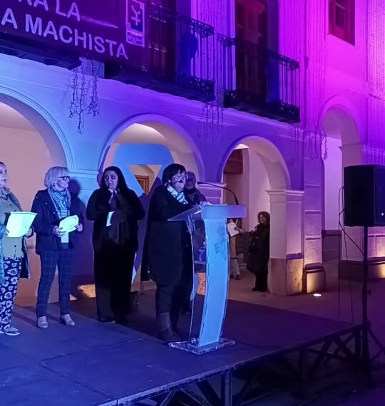 Celebración del Acto Institucional 25N: Un Dia Internacional dedicado a la Erradicación de la Violencia contra las Mujeres
