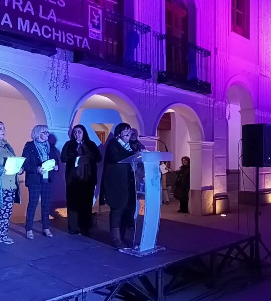 Celebración del Acto Institucional 25N: Un Dia Internacional dedicado a la Erradicación de la Violencia contra las Mujeres