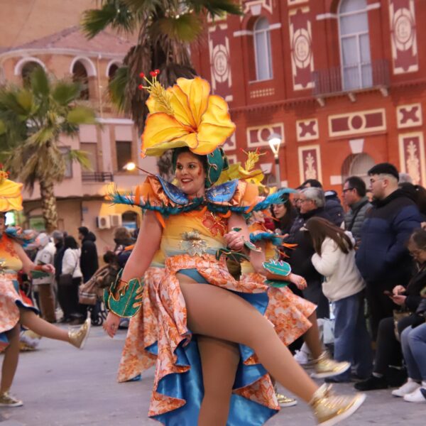 Ayuntamiento de Manzanares Actualiza el Álbum del XXXIV Concurso Regional de Comparsas y Carrozas con Nuevas Fotos (Segunda Parte)