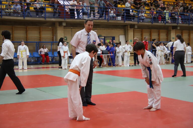 El Campeonato Regional de Deporte Escolar en Manzanares Destaca el Potencial Educativo y los Valores Intrínsecos del Judo