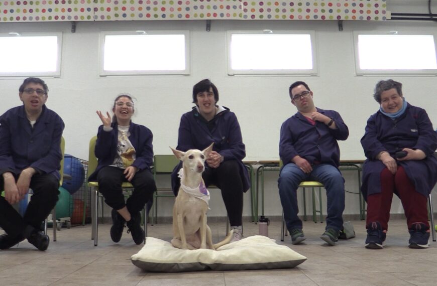 Impacto Positivo de las Terapias Caninas en Personas con Discapacidad Intelectual en el CADI Manzanares