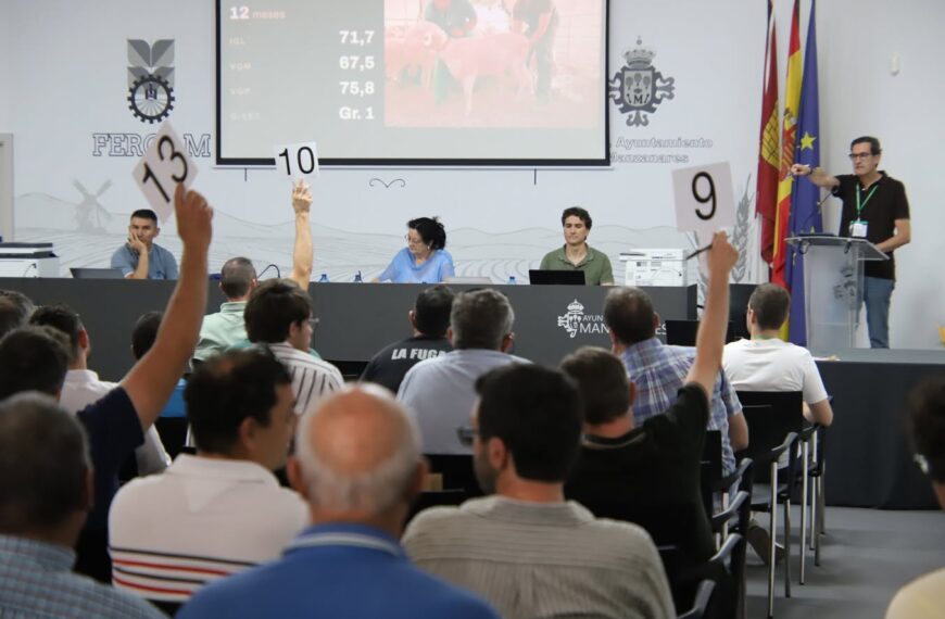 Fercam 2026: Ejemplares ovino manchego alcanzan valor de 2200 y 2100 euros en la subasta de sementales 133ª de AGRAMA